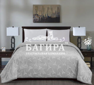 Светло-серый (Париж)