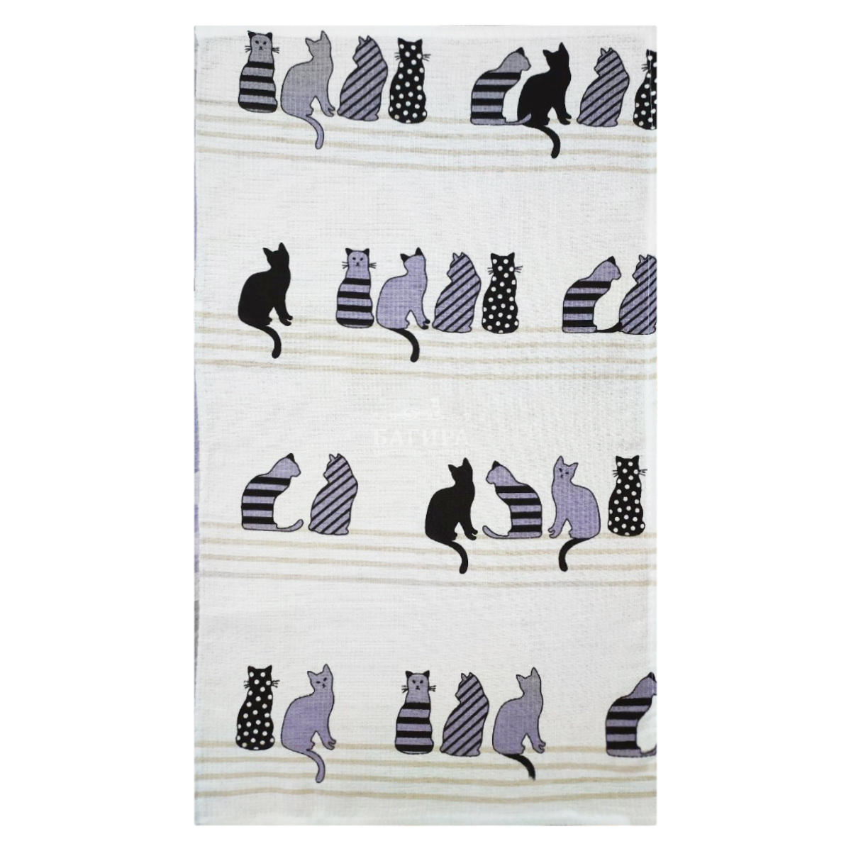 Котики