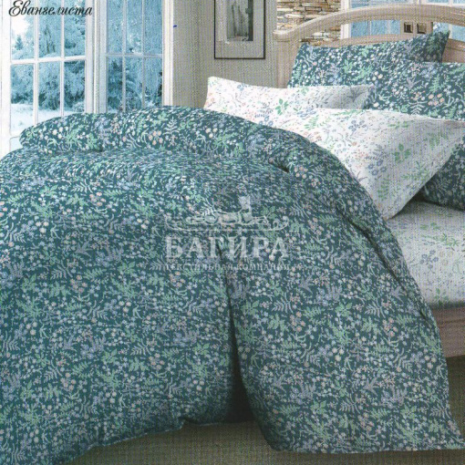 Евангелиста