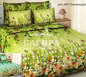 Солнечный день вид 2