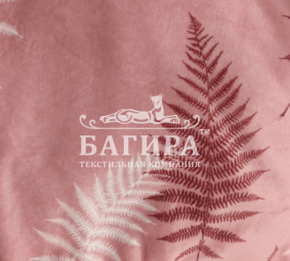 Папоротник