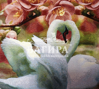 Пара лебедей