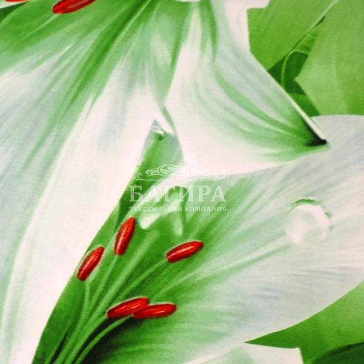 Сказочный сон (вид 1)