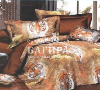 Взгляд тигра