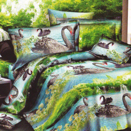 Пара лебедей 2