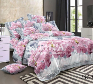 Карина вид 2