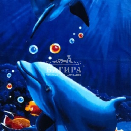 Коралловый риф