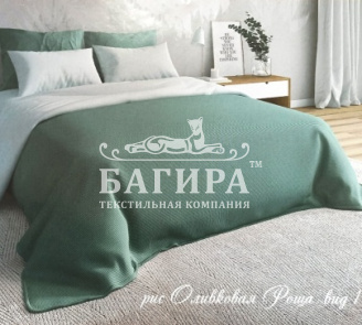 Оливковая роща вид 1