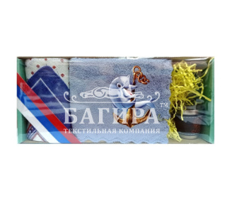 Защитник отечества №6