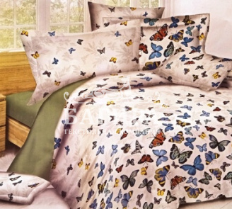 Бабочки вид 1