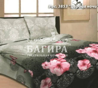 Царица ночи