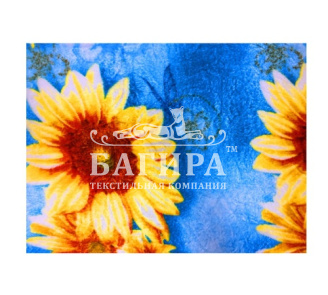 Летнее утро