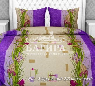 Ирисы вид 2/3 сиреневый