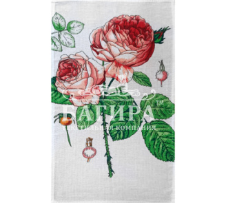 Роза
