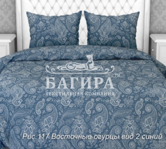 Восточные огурцы вид 2 синий