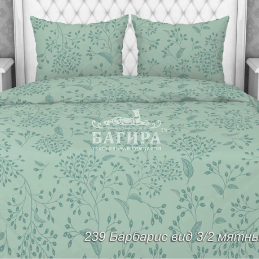 Барбарис мятный