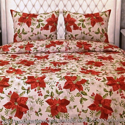 Рождественская звезда вид 9