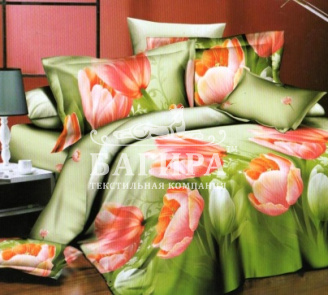 Поле тюльпанов