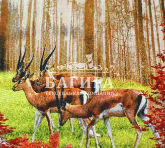 Косули