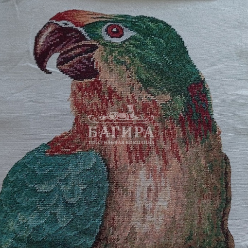 Попугай ара