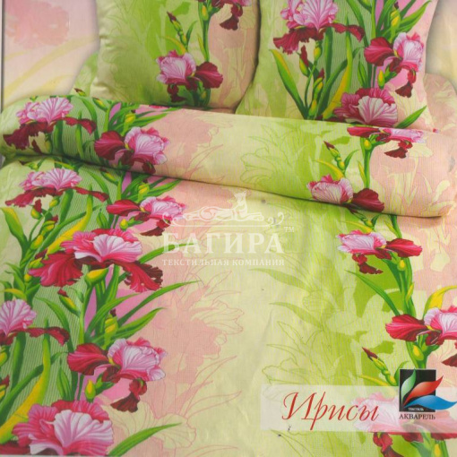 Ирисы