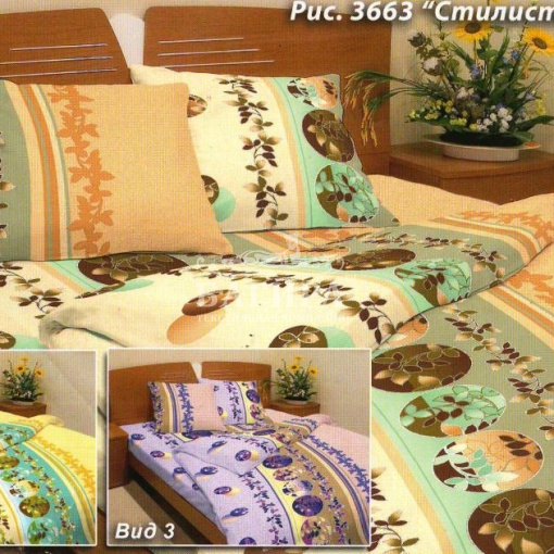 Стилистика вид 1