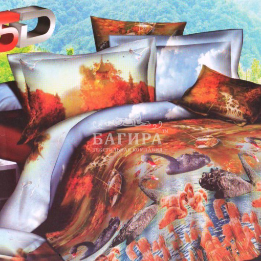 Пара лебедей 2