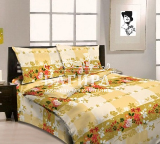 Силуэтная клетка вид 2