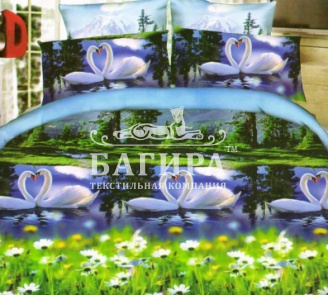 Пара лебедей 2