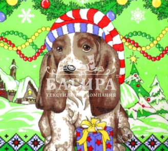 Долголетие