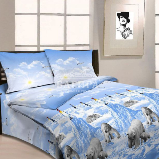 Арктика вид 1