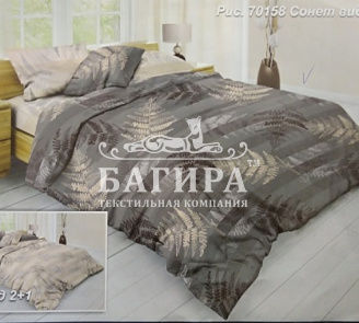 Сонет вид 2+2