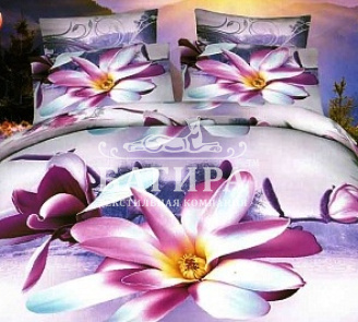 Вдохновение 4