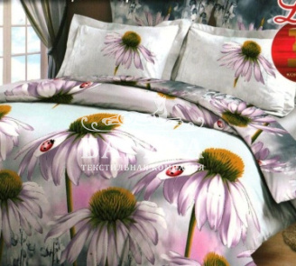 Коллекционные ромашки