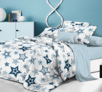 Звездная ночь вид 3