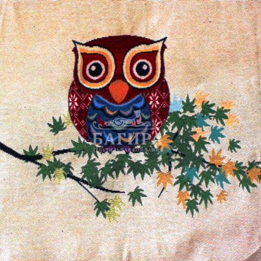 Взгляд совы