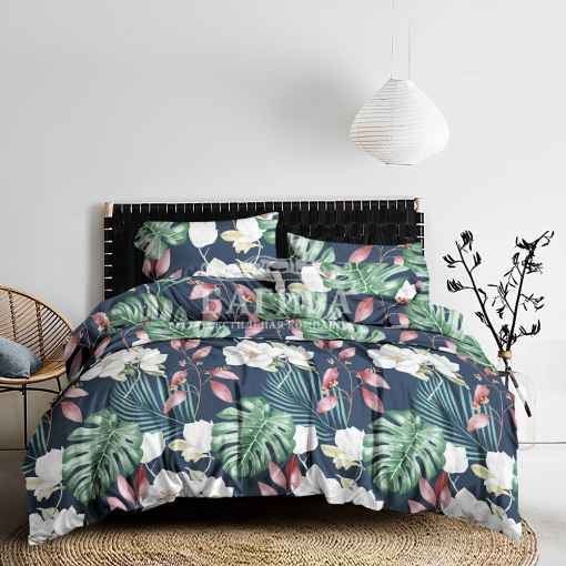 Констанция