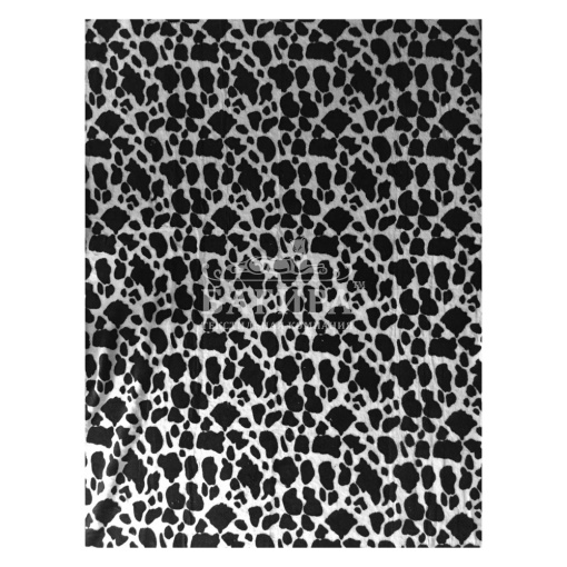 Далматинец