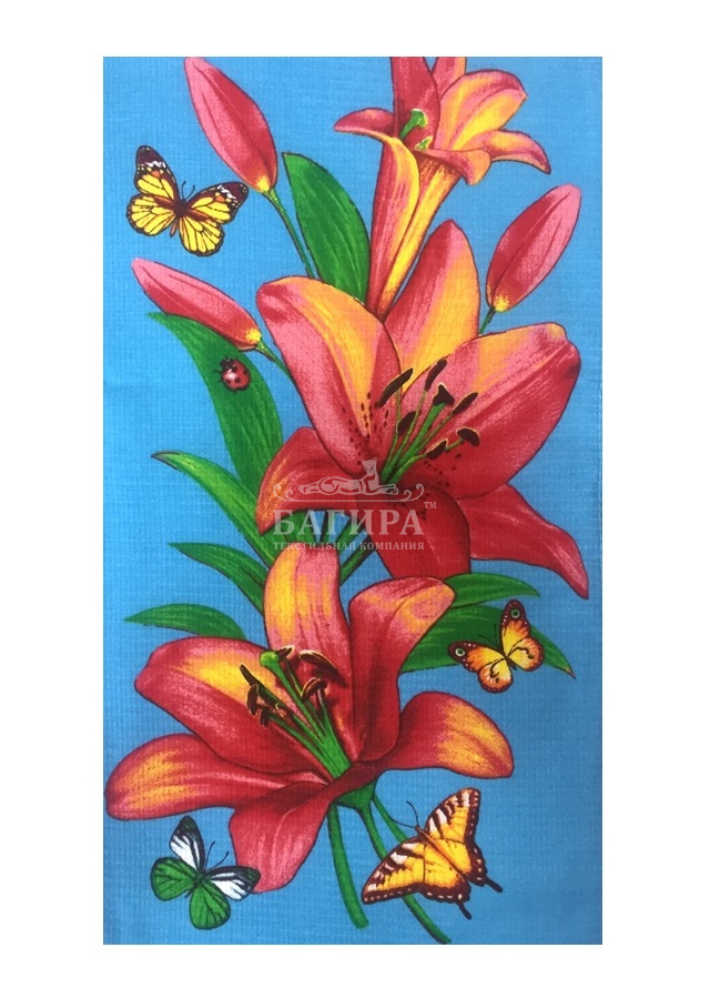 Божья коровка