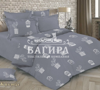 Кактусы