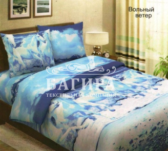 Вольный ветер