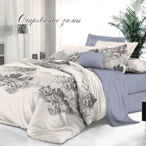 Очарование зимы