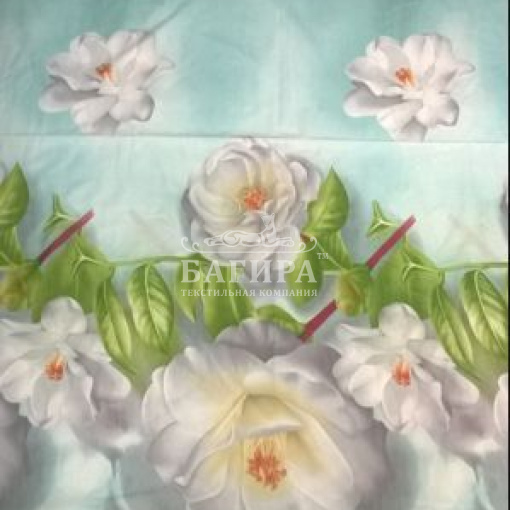 Шиповник вид 2