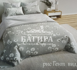 Гент вид 1