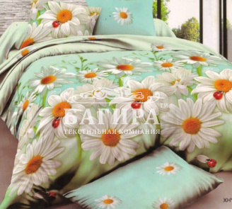 Белые ромашки вид 1