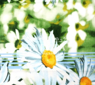 Ромашковый вальс Голубой