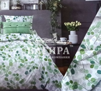 Эвкалипт вид 9/4 зелёный