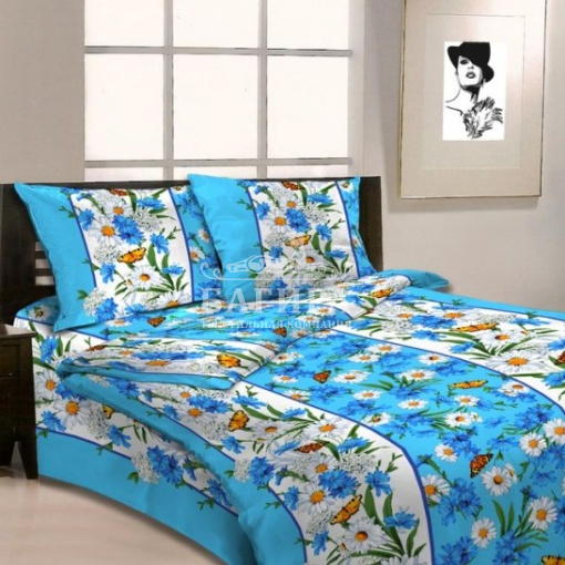 Солнечный лучик вид 1