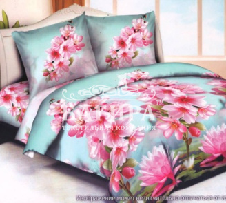 Сакура вид 1