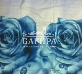 Синяя роза вид 1